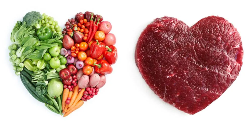 Can a Vegan and a Meat Eater Make it Work?